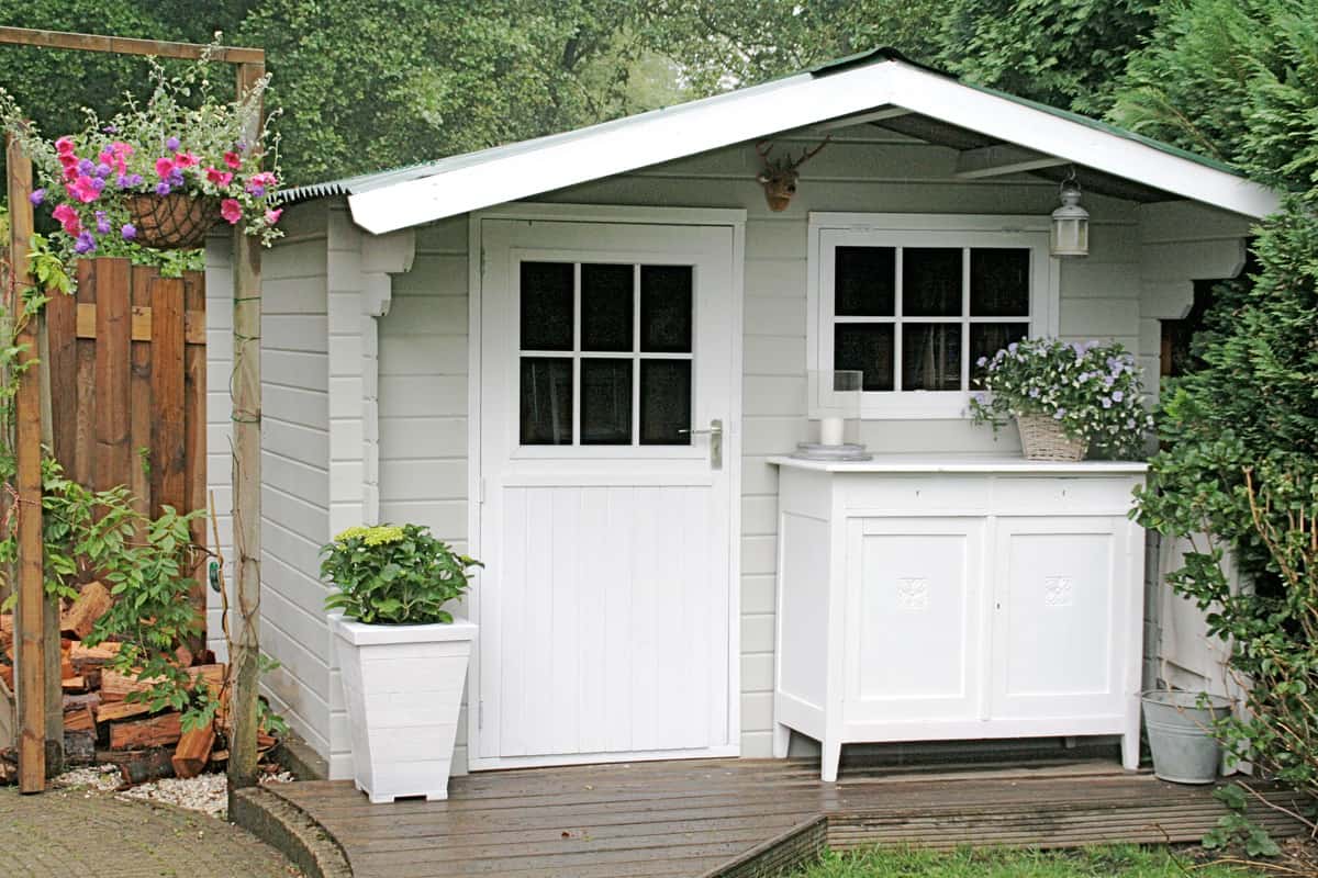 schimmel in huis voorkomen